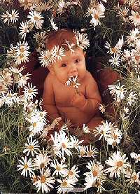 Beb� em Flores