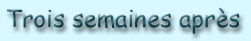 Trois semaines apr�s