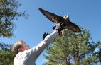 Protect Wildlife Habitat!