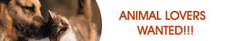 By signing you'll help many unwanted kittens and puppies..