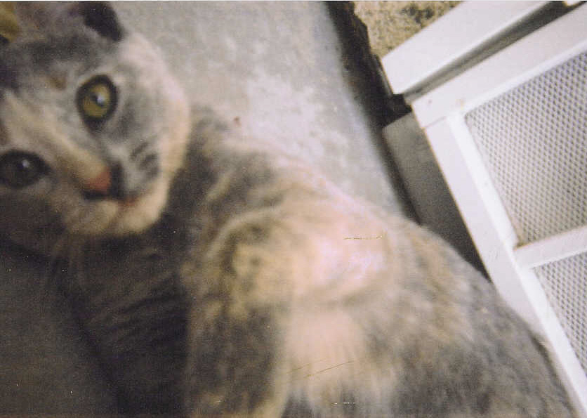 This is me, Charlotte.&nbsp; I am cute.