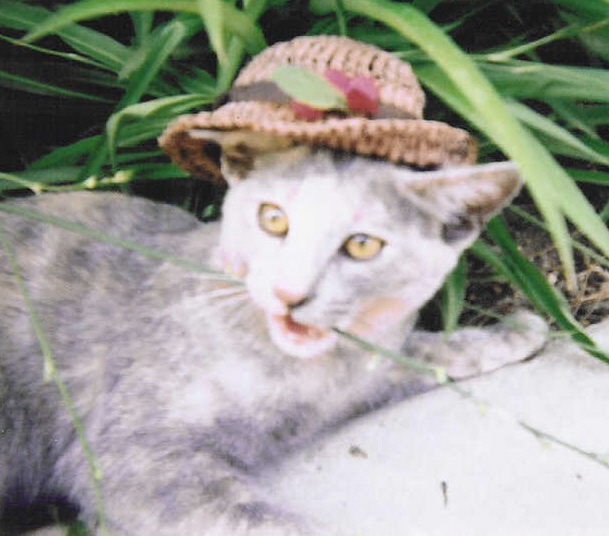 All dressed up in my Sunday best.