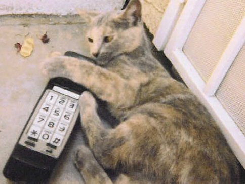 Clay, I waited for you to call me.