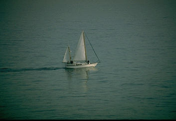 sail along with me as we go back to ASJMS...