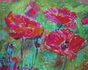 Poppies