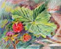 Raspberries