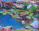 Water Lilies