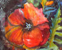 Red Poppy