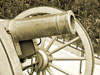 cannon