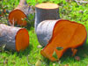 woods