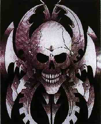 skull
