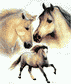 click for big 
pic