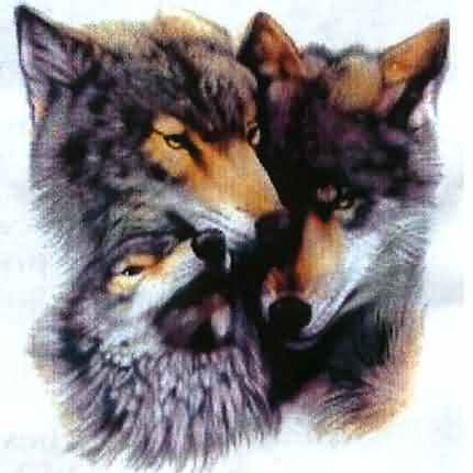 triple wolf