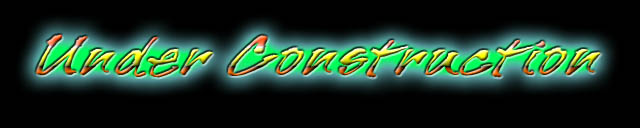 Construction Logo