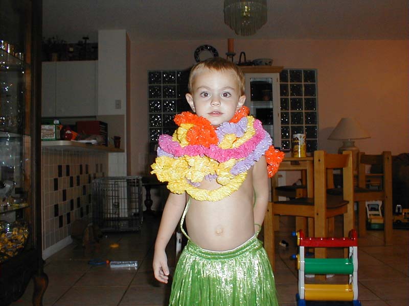 LotsofLeis