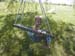 Swing