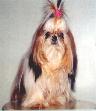 MARTHA