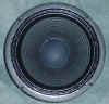 speaker.jpg (18344 bytes)
