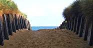 the promise of a beach to gladden the heart