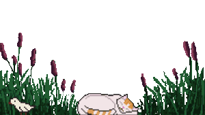 Header gif