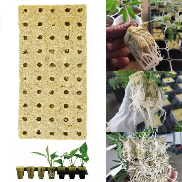 Rockwool starter