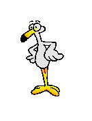 CLICK ON THE BIRD TO FLY BACK TO WILDWOODS KUNTREE KLUB HOME PAGE