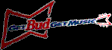 Guitare Bud