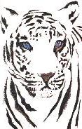 TattooZoo.com's Tattoos R OK