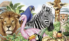 animales