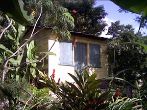 Catch the Vibes Cottage