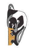 wpe08471.gif (203157 bytes)