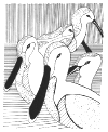 wpe69706.gif (118576 bytes)