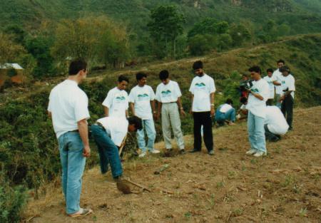 Planting Trees in 1994