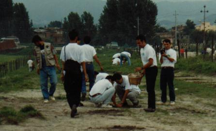 Planting Trees in 1995
