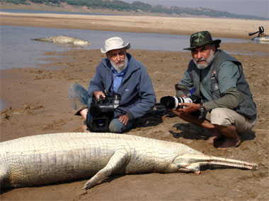 Bedi Brothers, Filmakers and Conservationists