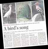 Review of Garden Birds of Delhi, Agra, Jaipur
