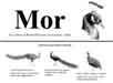 thumbnail of MOR