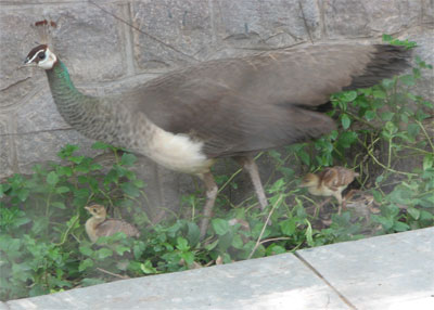 with the newborn