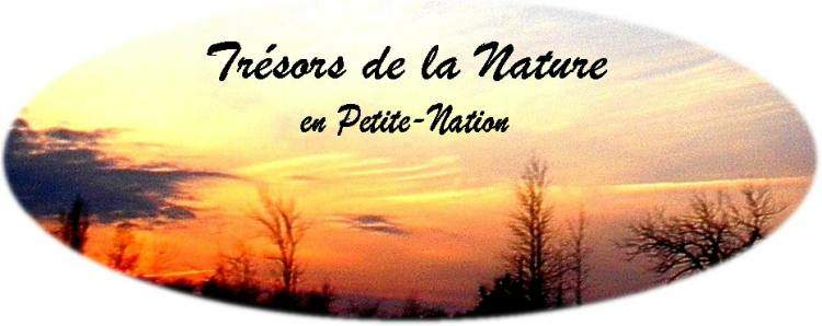 Plaisance 11 avril 2001