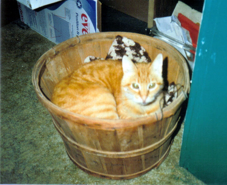 Clyde was a real basket case!!