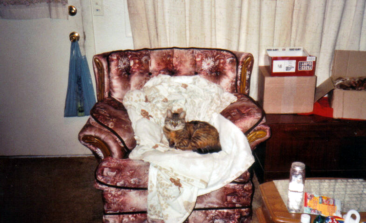 Spatz getting some rest in Fall of 1997