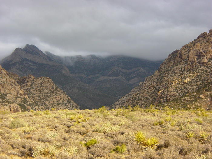 redrock13-42702