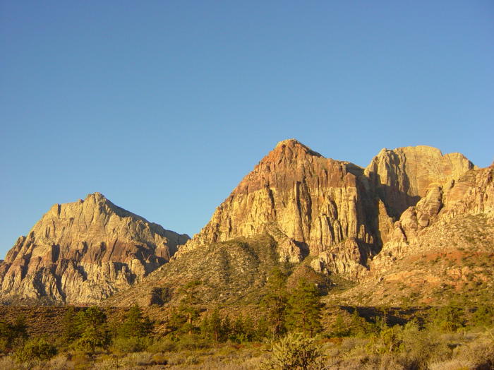 Dsc02335