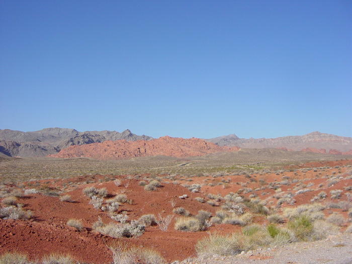 Dsc00416