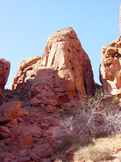 Dsc00430