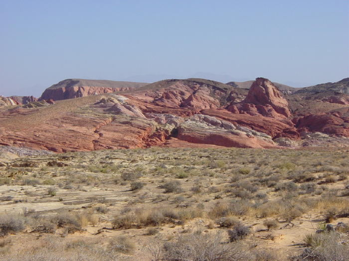 Dsc00446