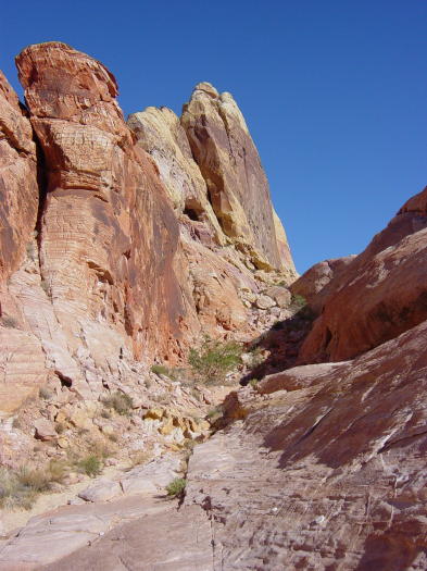 Dsc02548