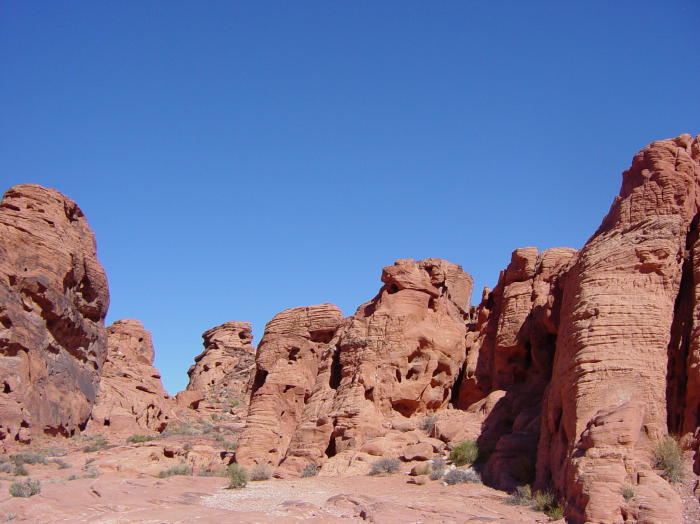 Dsc02595