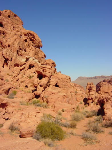 Dsc02584