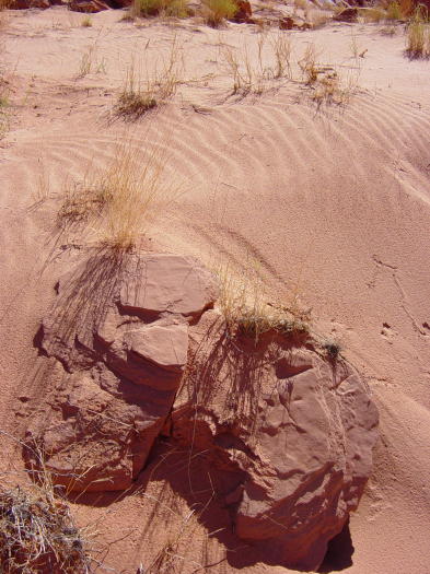 Dsc02573